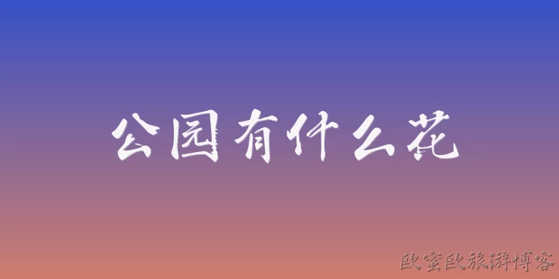 公园有什么花