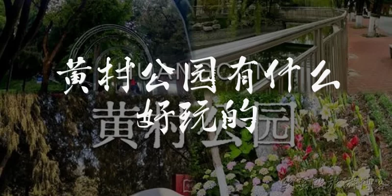 黄村公园有什么好玩的