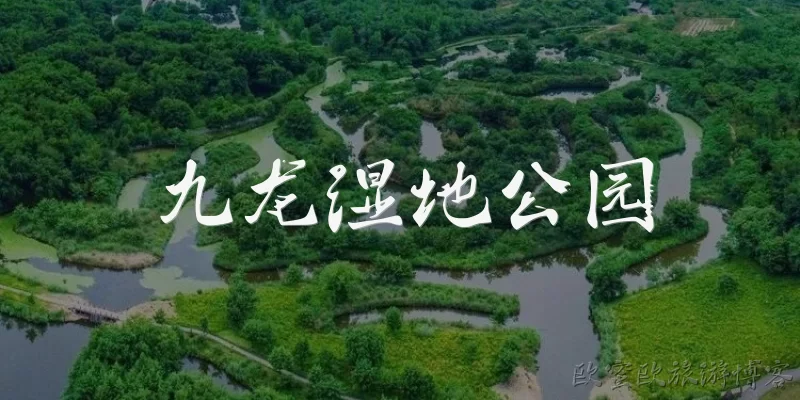 九龙湿地公园:九龙湿地公园在哪里？有什么特色？