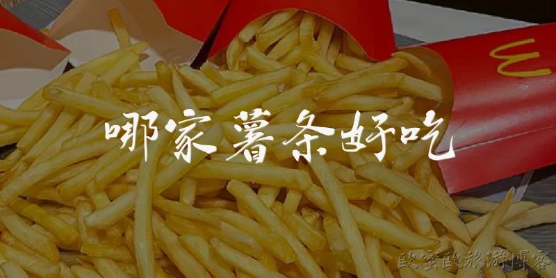哪家薯条好吃