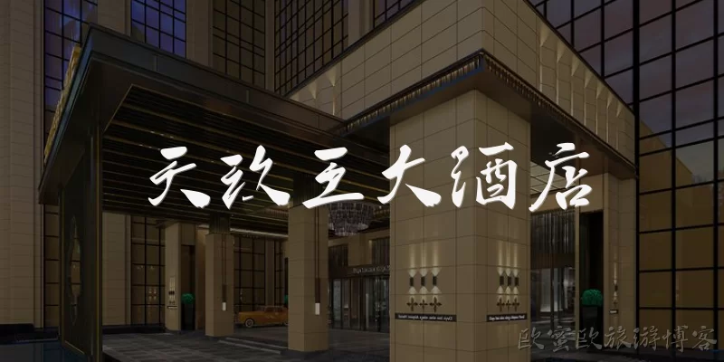 天玖王大酒店