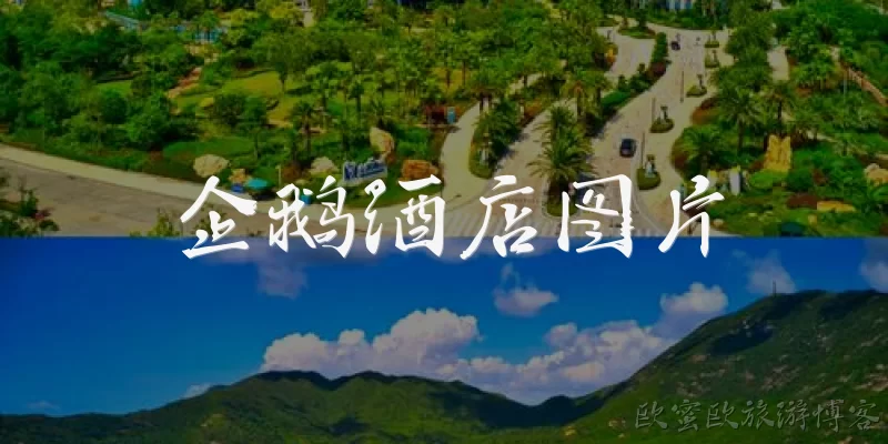 企鹅酒店图片:企鹅酒店图片通常展示哪些主题元素？
